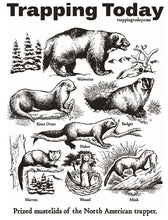 Load image into Gallery viewer, Mustelid Poster 11x17