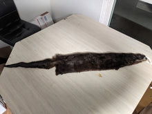 Load image into Gallery viewer, Tanned Otter Pelt