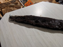 Load image into Gallery viewer, Tanned Otter Pelt