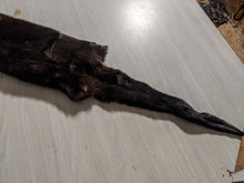 Load image into Gallery viewer, Tanned Otter Pelt