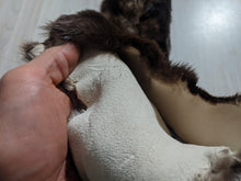 Load image into Gallery viewer, Tanned Otter Pelt