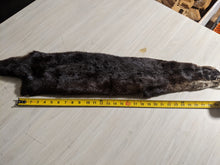 Load image into Gallery viewer, Tanned Otter Pelt