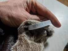 Load image into Gallery viewer, Tanned Otter Pelt