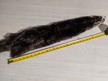 Load image into Gallery viewer, Tanned Otter Pelt
