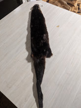 Load image into Gallery viewer, Tanned Otter Pelt