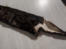 Load image into Gallery viewer, Tanned Otter Pelt