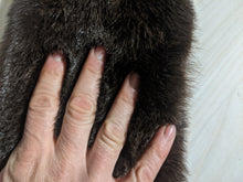Load image into Gallery viewer, Tanned Otter Pelt