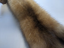 Load image into Gallery viewer, Tanned Marten Pelt