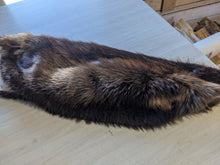 Load image into Gallery viewer, Tanned Beaver Pelt
