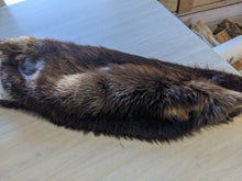 Load image into Gallery viewer, Tanned Beaver Pelt