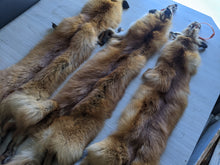 Load image into Gallery viewer, Tanned Red Fox Pelt
