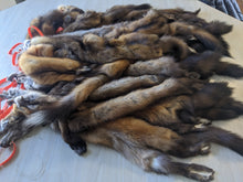Load image into Gallery viewer, Tanned Marten Pelt