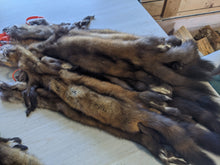 Load image into Gallery viewer, Tanned Marten Pelt