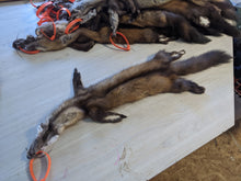 Load image into Gallery viewer, Tanned Marten Pelt