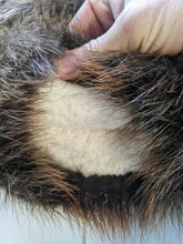 Load image into Gallery viewer, Beaver Fur Mitts - Hand-stitched