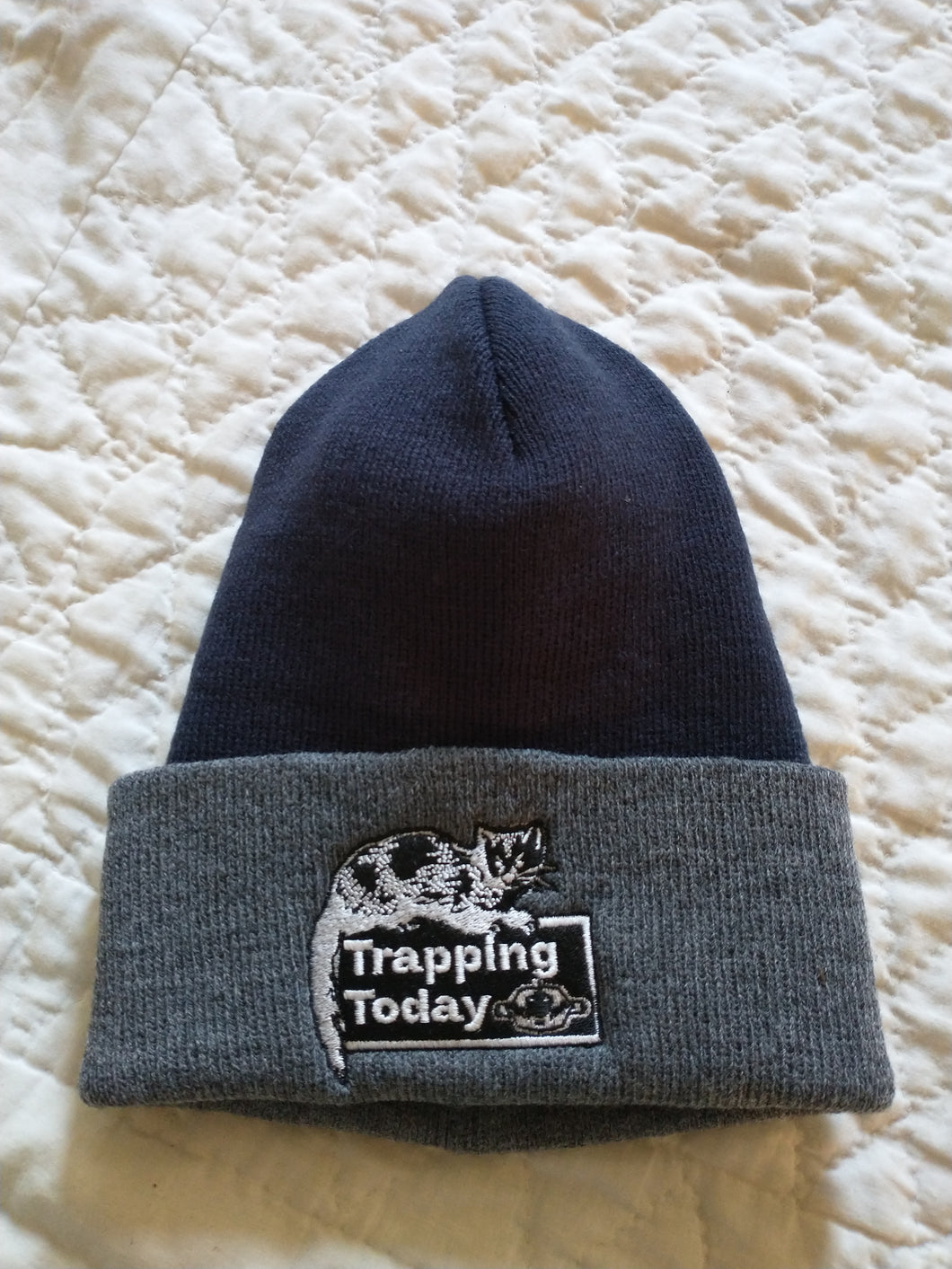 Trapping Today Logo Beanie