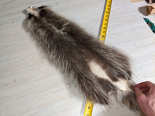 Load image into Gallery viewer, Tanned Raccoon Pelt
